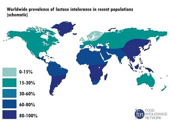 Laktose Intoleranz weltweit