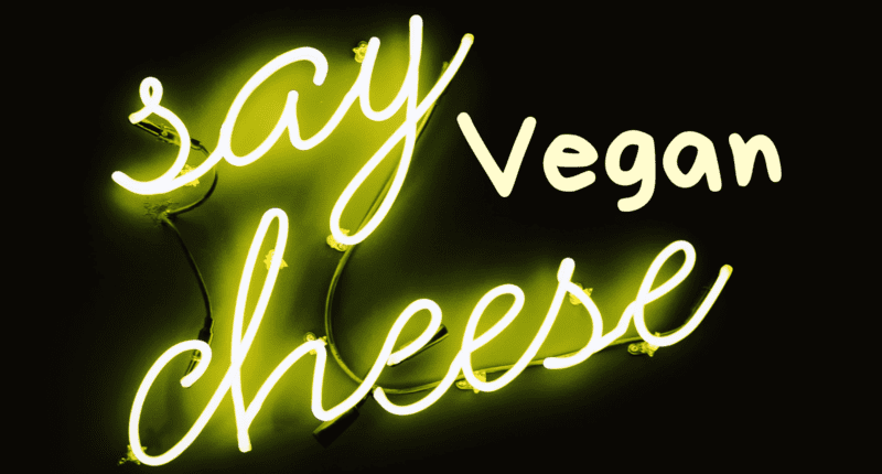 Veganer Käse Alternative